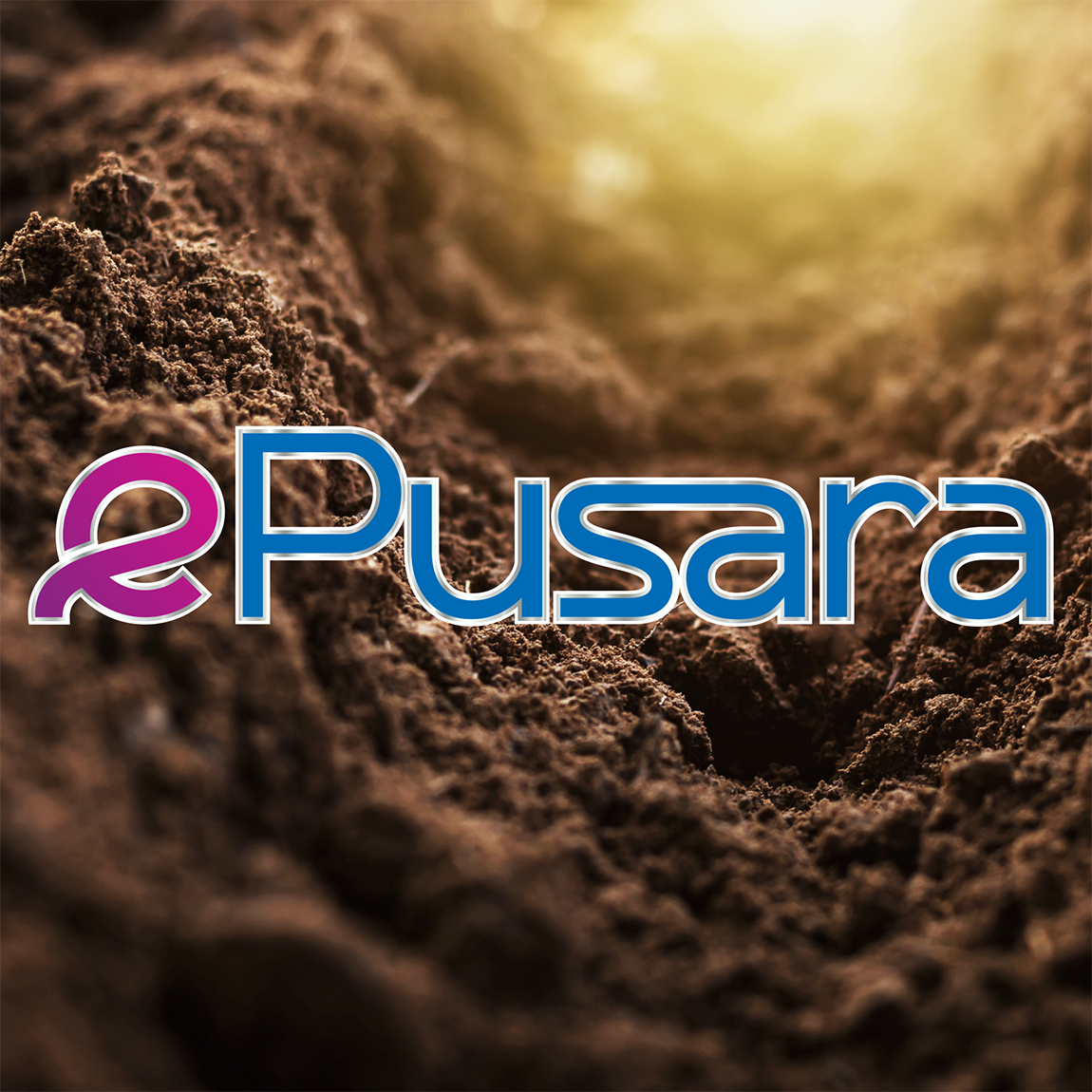 ePUSARA